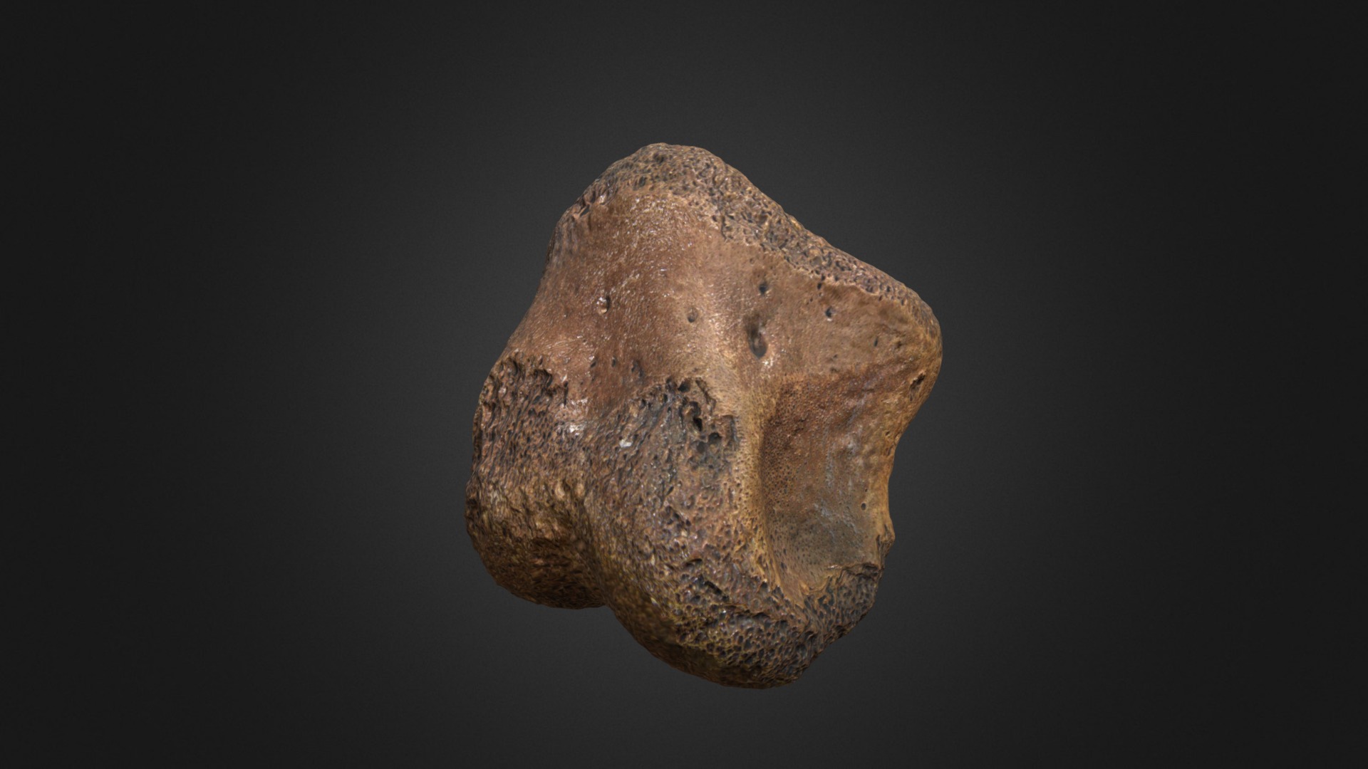 3D model Thescelosaurus Toe Bone - This is a 3D model of the Thescelosaurus Toe Bone. The 3D model is about a stone with a dark background.