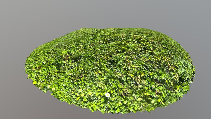 很好 3D Model