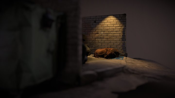 Atos, "abandoned" dog :)