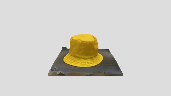Hat 3D Model