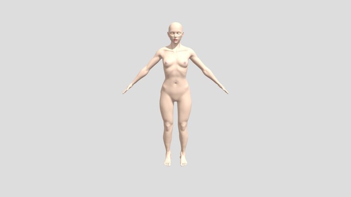 Female Anatomical Study Hi-Res Sculpt 3D Model
