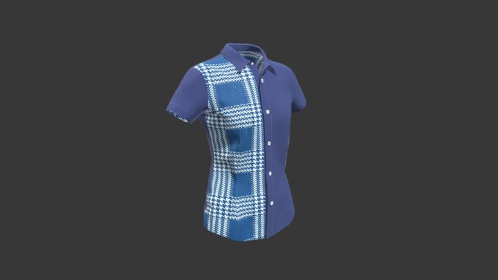 Color Blocked Shirt 3D Model