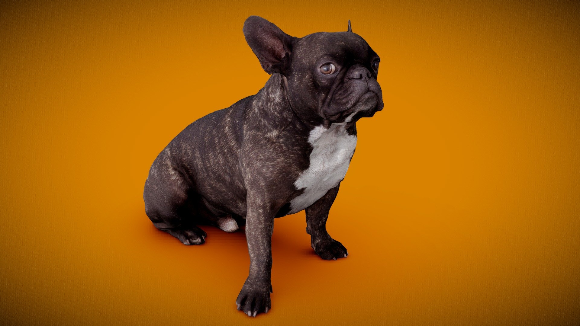 DOG B - 6of13 - Buy Royalty Free 3D model by Frank.Zwick (@Frank_Zwick ...