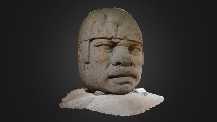 Olmec Big Head (3)