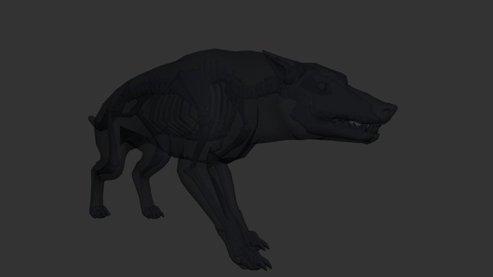 NightWolf 3D Model