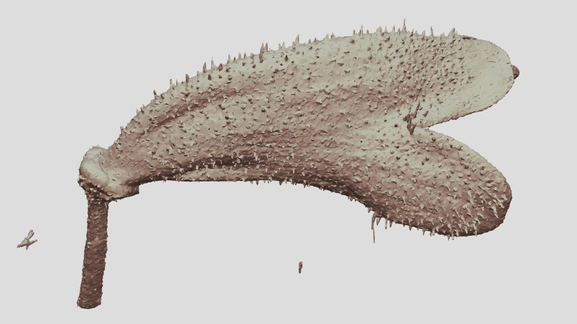 Sinningia nordestina corolla