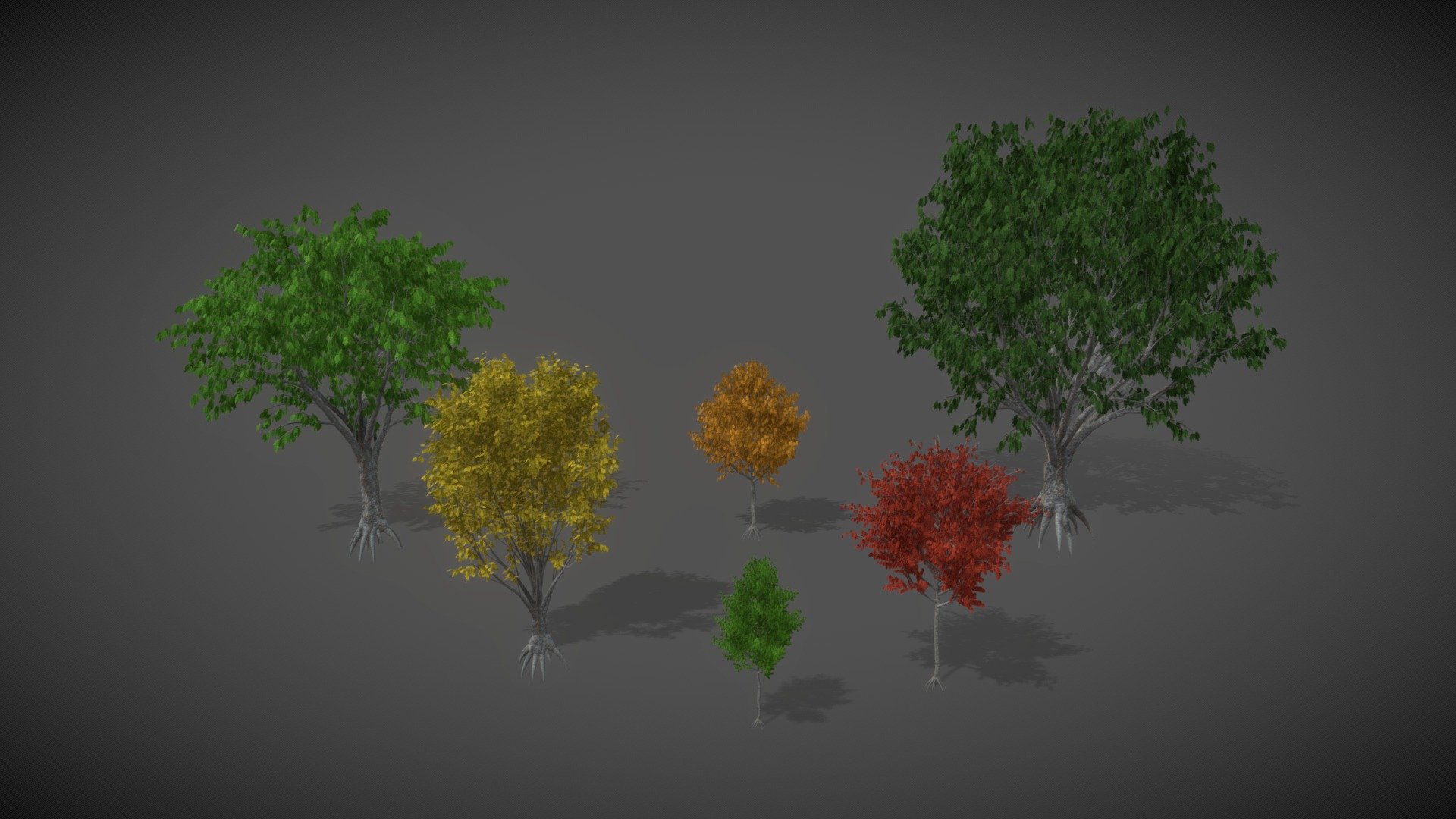 JA20 Zelkova Serrata (Japanese Zelkova) — Sketchfab embed 3D viewer