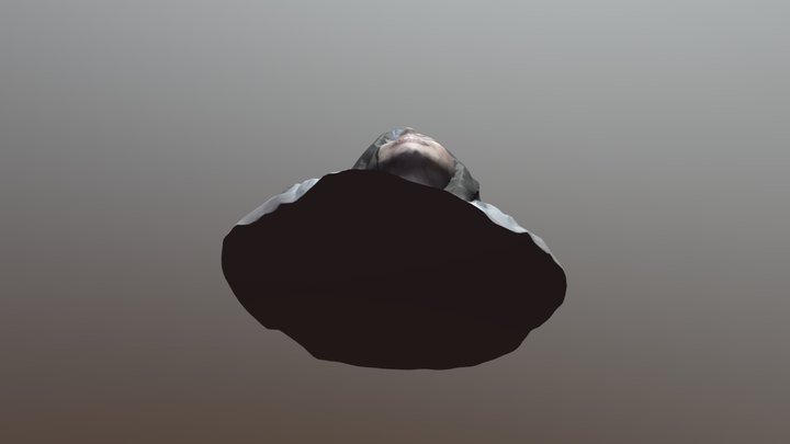 679 3D Model