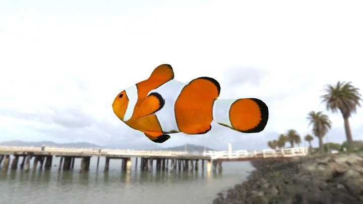 50501 3D Model