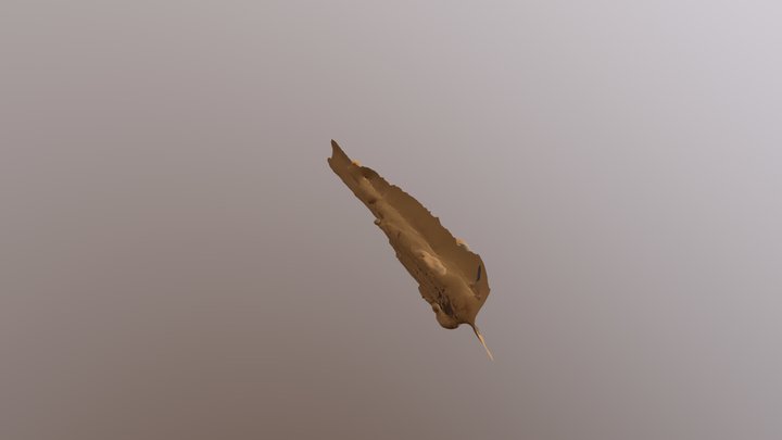 MOCA 3D Model