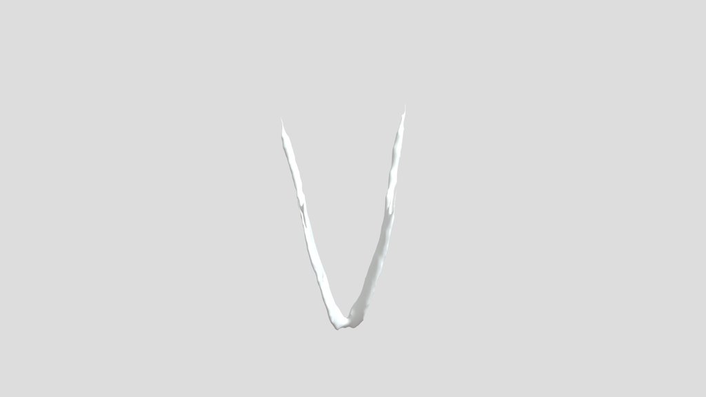 Tyto alba - bottom jaw - CT scan