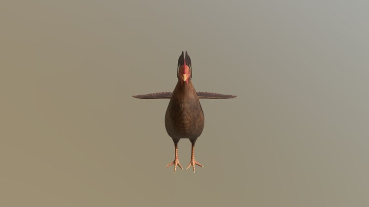 Chicken2 3D Model