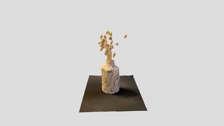 Face Vase 3D Model