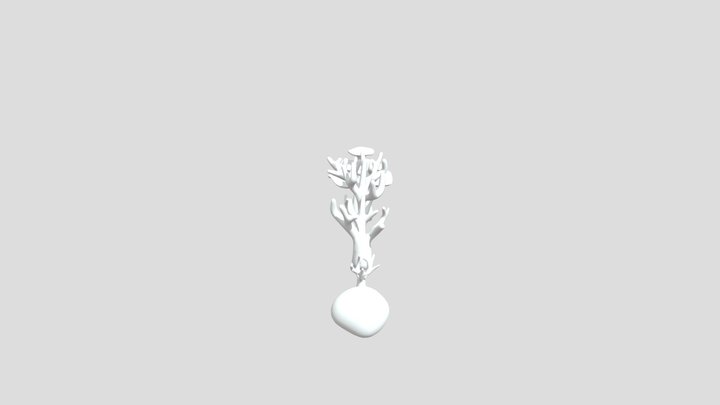 Coral collection 3D Model