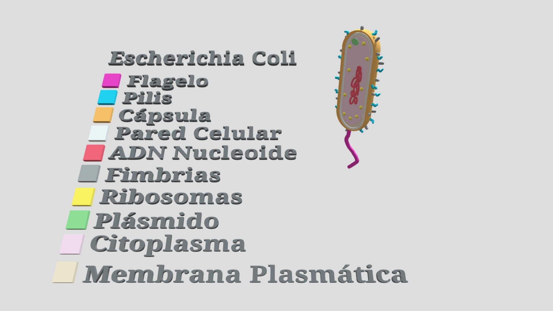 MICROUGHS_Escherichia Coli_YARR_DMSD_MPR