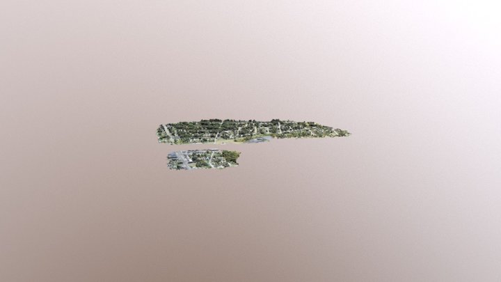 Canton TWP WL OUPS ALL Simplified 3d Mesh 3D Model