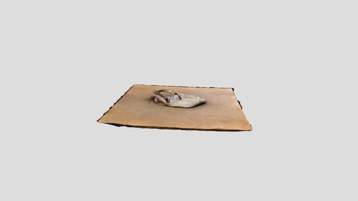 Canvas Eclipse Ballet Shoe (Tan) 3D Model