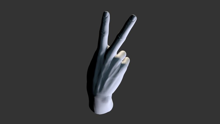Female Hand Sculpt 14 3D Model