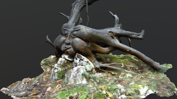 Tree stump... the Wind 3D Model