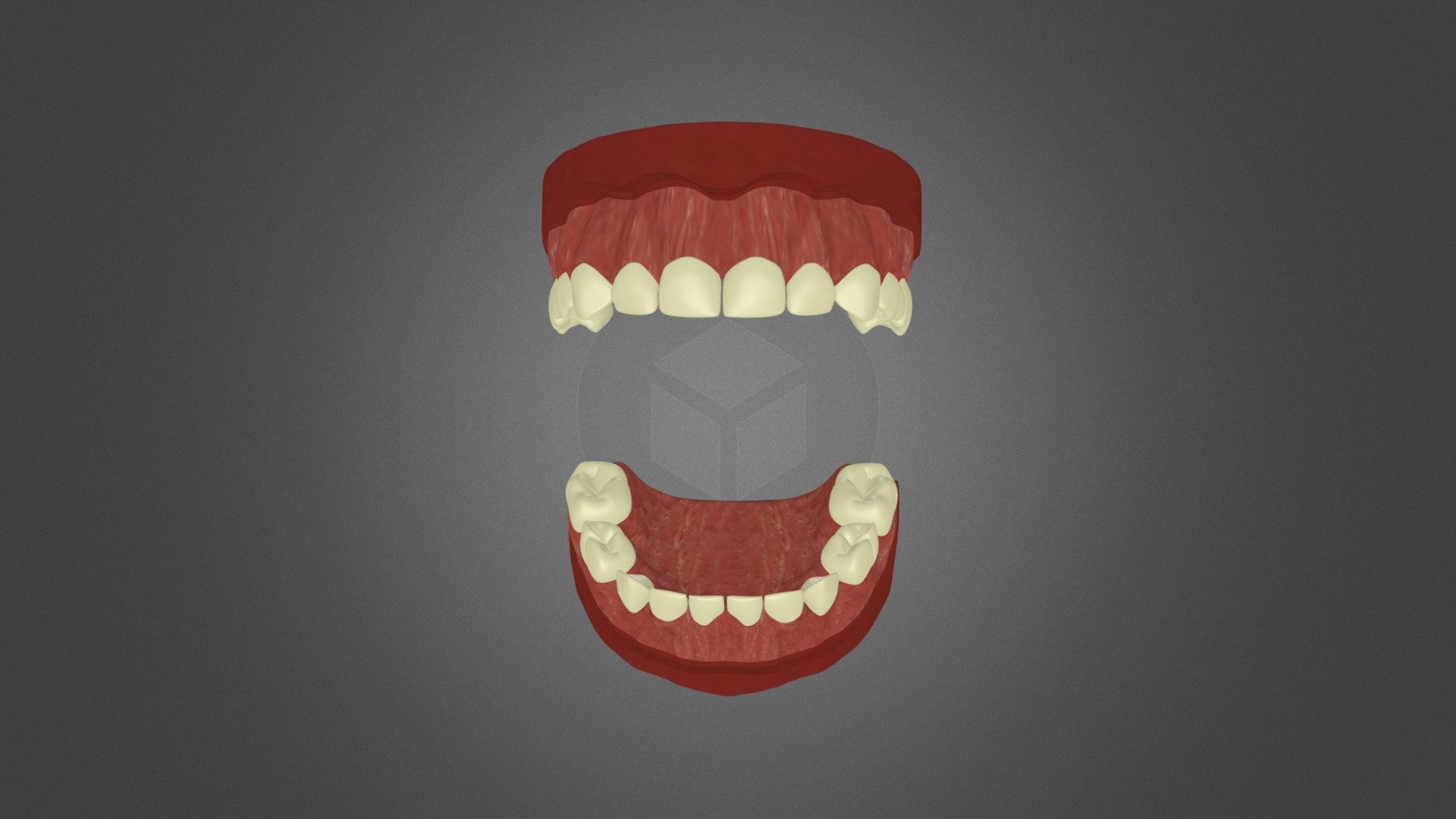 healthy dentition
