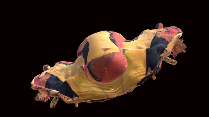 Modigli Uterus or Modigli UFO 3D Model