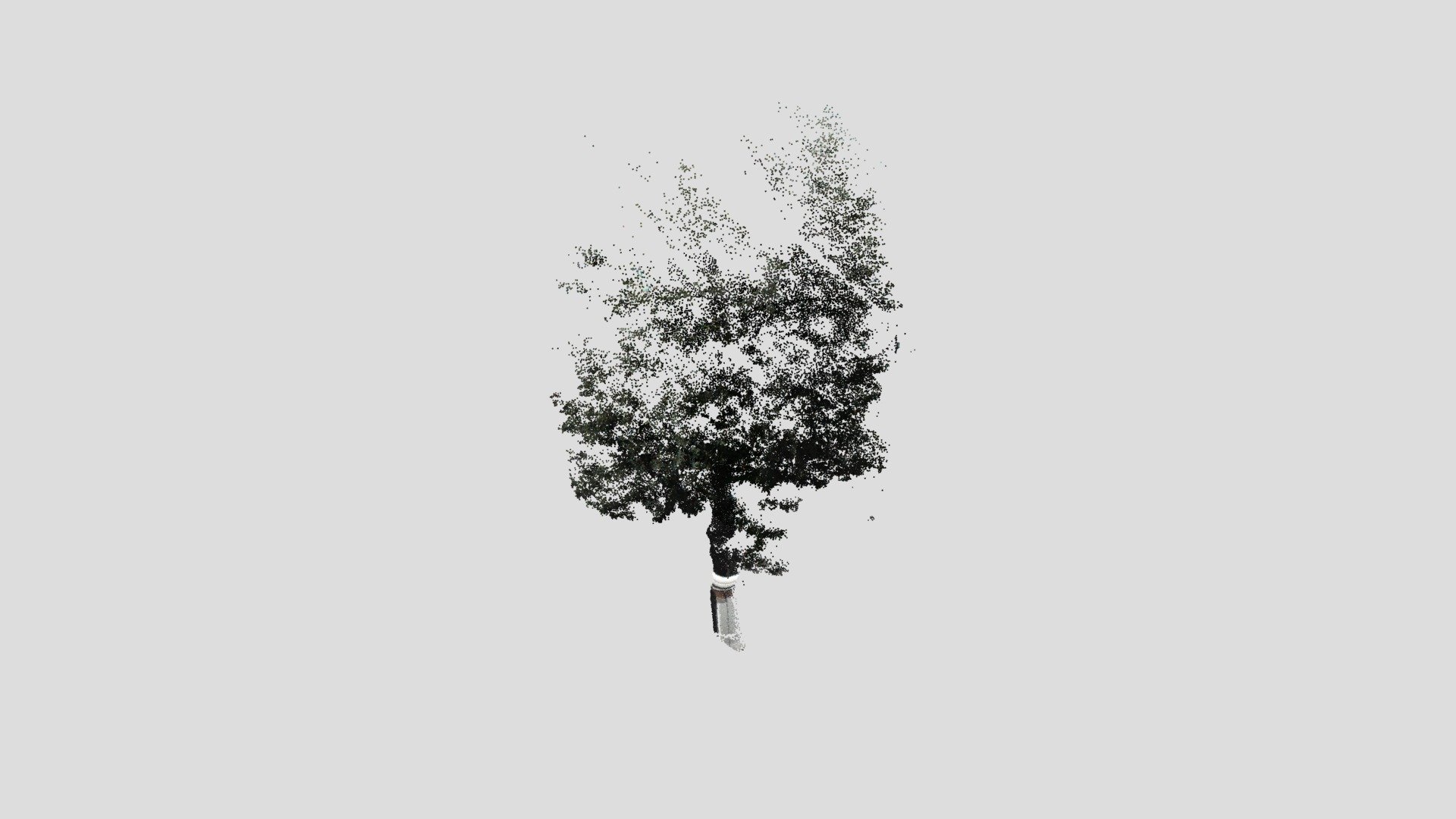 tree17-pointcloud - 3D model by Nodai_Kunii_Lab (@mmsroadsidetree ...