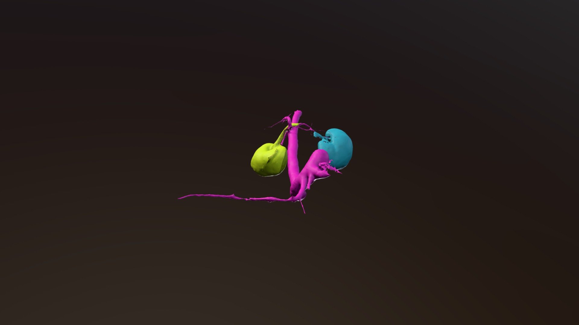 Ben's Aorta and Kidney Segmentation