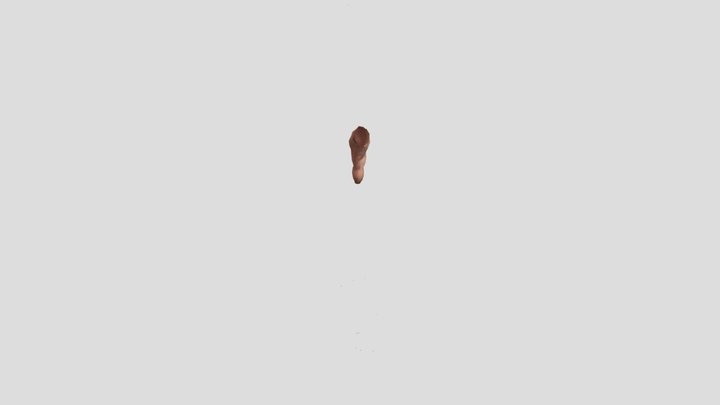anusfix 3D Model