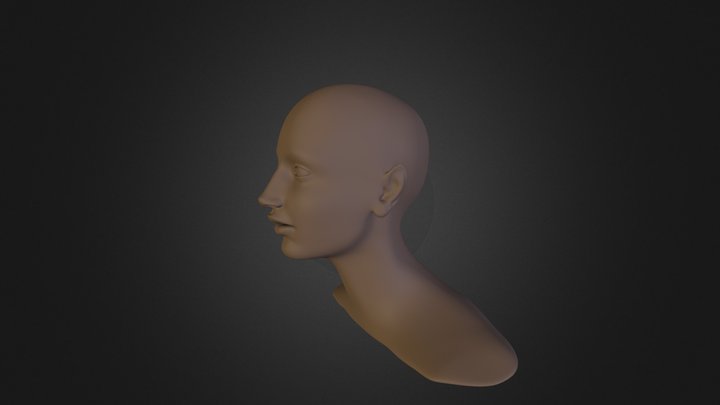 Skogsra Model Base 3D Model