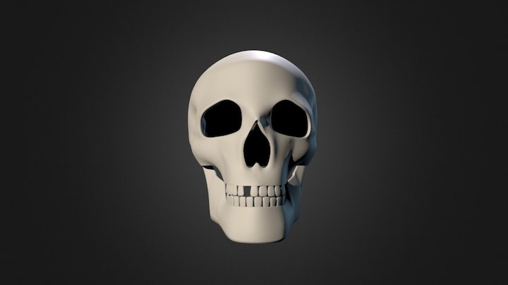 Basic skull 3D Model