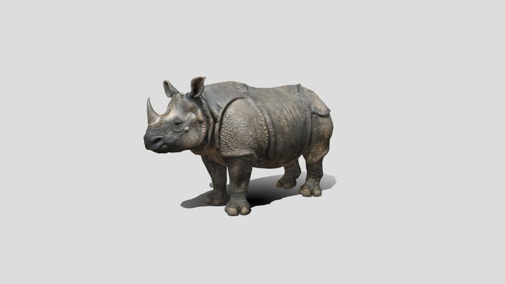 Low poly Rhino 3d model free