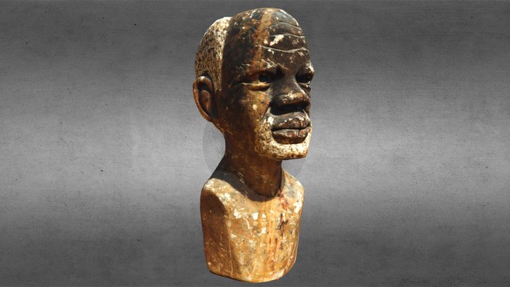 Bust of African Doctor 3D Model