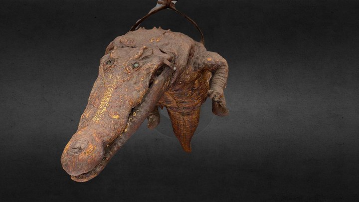 Krokodil Pfarrgasse Freistadt - dead crocodile 3D Model