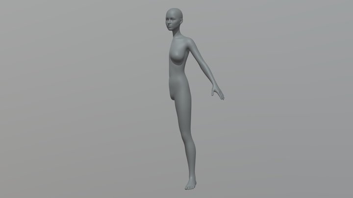 femaleHalf 3D Model