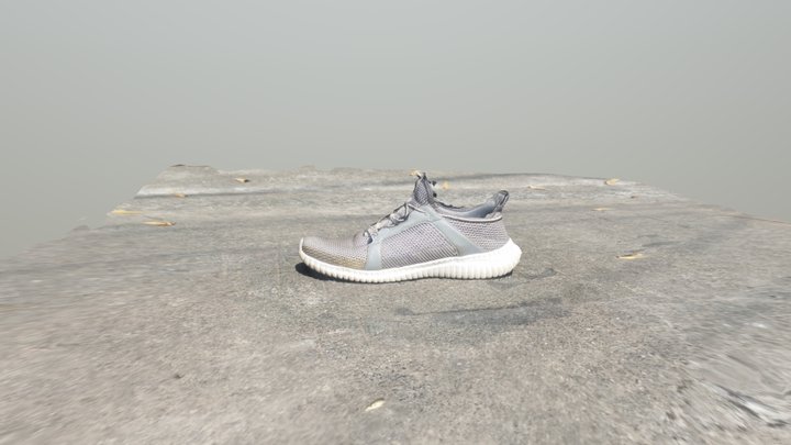 Shoe 3D Scan 3D Model