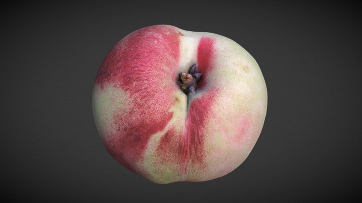 Nectarine 3D Model