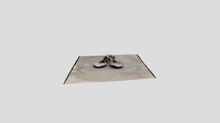 Canvas Ballet Split Soles 3D Model