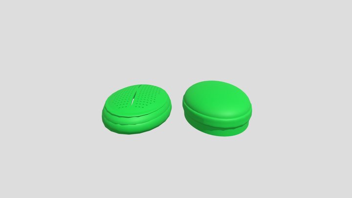 Cocconeis 3D Model