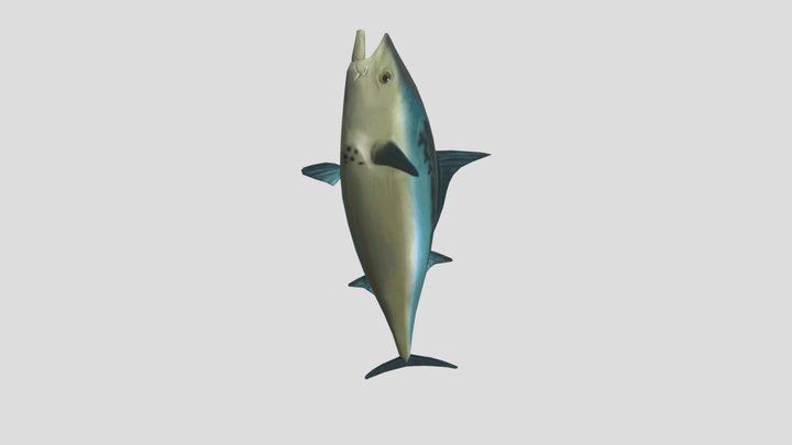 Announcer Fish 3D Model