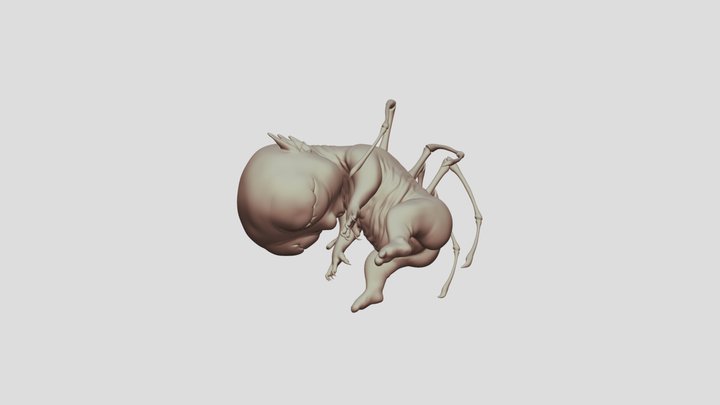 Snail Monster 3D Model