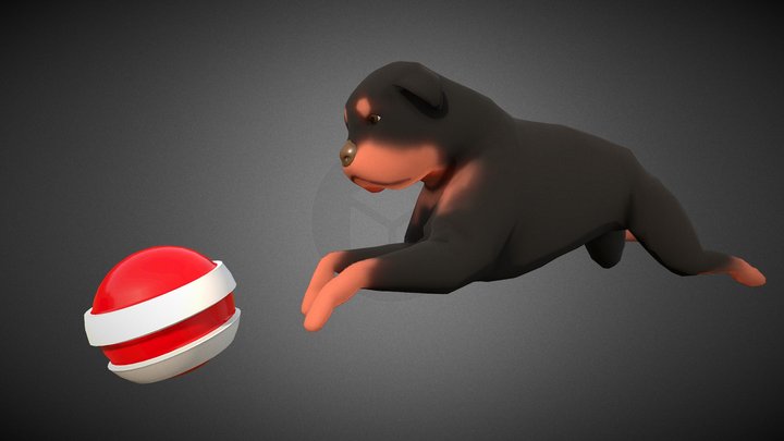 Lowpoly Rottweiler chasing a ball 3D Model