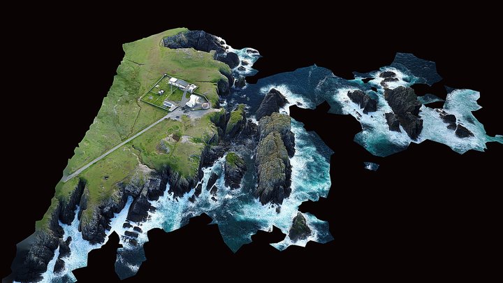 Butt of Lewis 3D Model