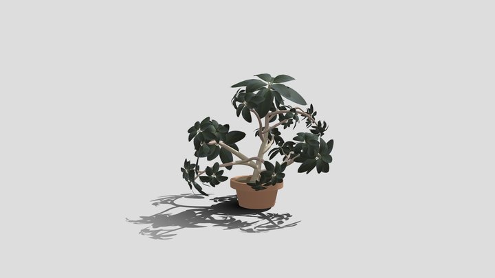 Reed_Jack_wk8_ID_plant 3D Model