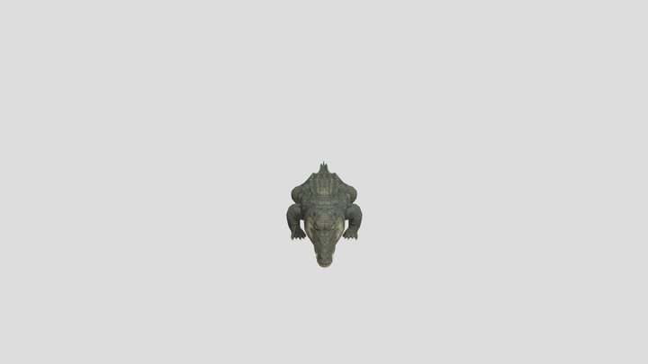 Crocodile 3D Model