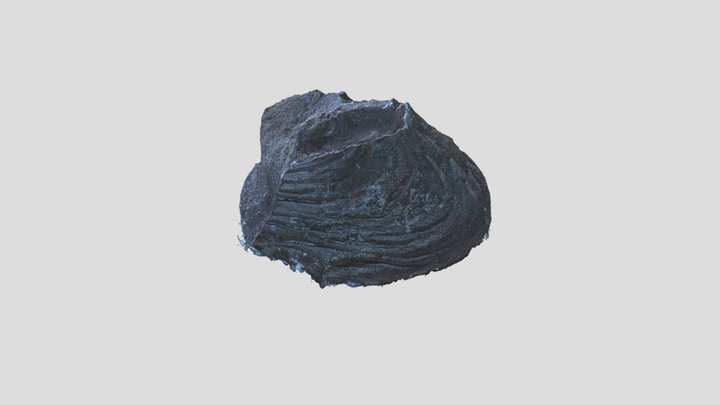 rock1 3D Model