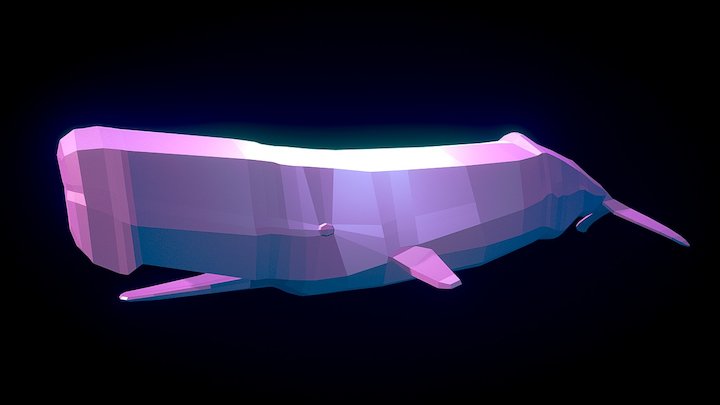 Sperm Whale 3D Model