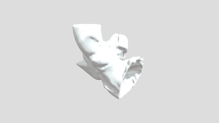 Segmentation 3D Model