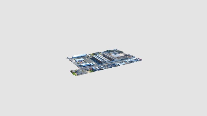 Dunedin Scan Low Resolution Preview 3D Model