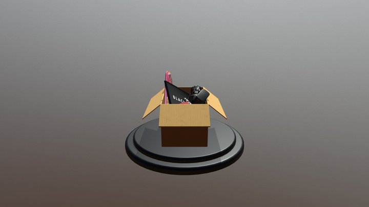 Blackbox 3D Model