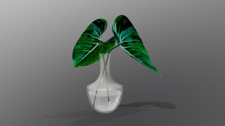 Two Big Leaves in Vase 3D Model